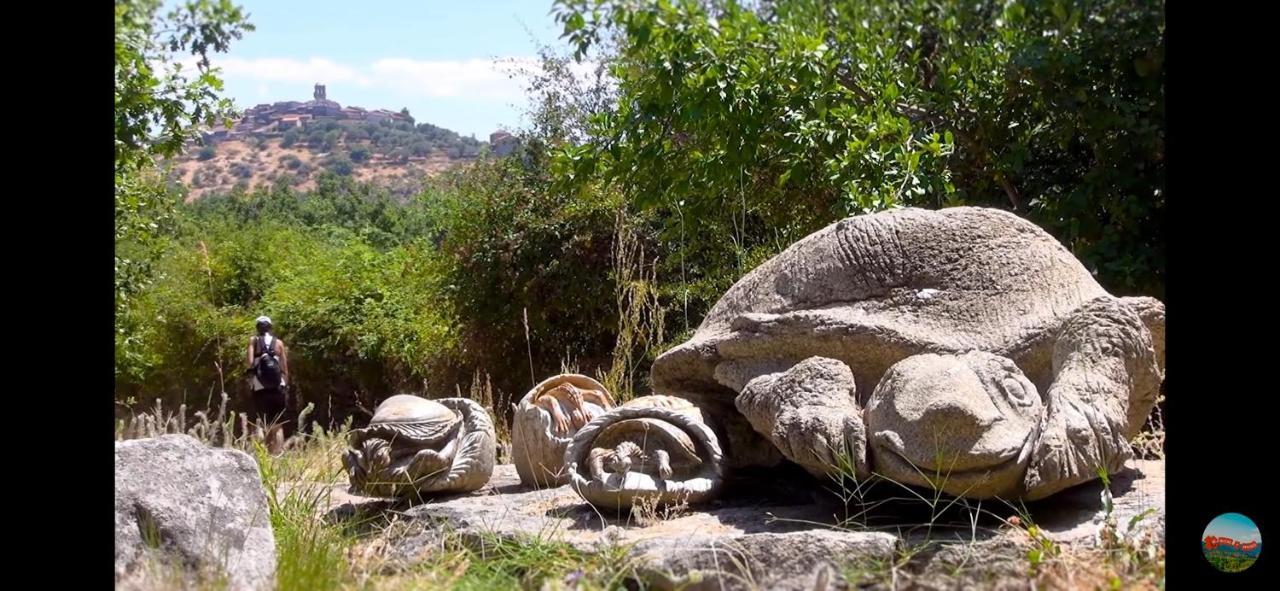 Casa Rural La Villa ميراندا ديل كاستانيار المظهر الخارجي الصورة